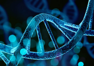 test dna nutrizione torino